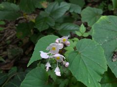 -鹫峰国家森林公园