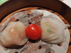-新兴·金羊座·粤菜点心(乐峰店)