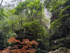 -梭布垭石林景区