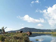 -腾冲北海湿地