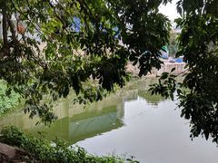 -溪悦渔庄(九龙湖店)