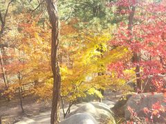 -崂山巨峰游览区