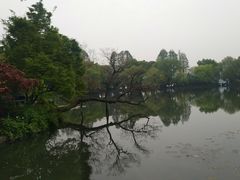 -西湖外事游船(花港观鱼码头)