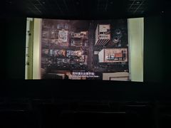 -百美汇影城(LUXE嘉里中心店)