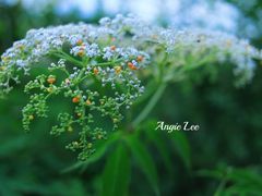 -白鹭湾湿地公园