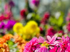 -南通洲际绿博园