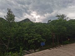 -阳台山自然风景区