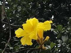 -玉树公园