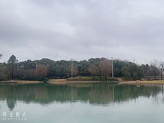 -上海佘山世茂艾美酒店