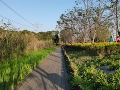 -长田漾湿地公园
