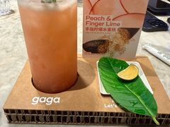 -gaga(深圳福田星河COCO Park店)