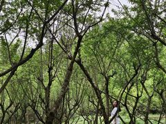 -贵阳市花溪国家城市湿地公园