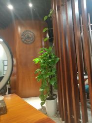 -思妍丽美容