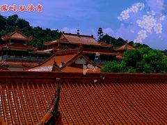 -深圳仙湖植物园