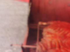 -9号乌托邦烤羊腿羊排(志华商城旗舰店)