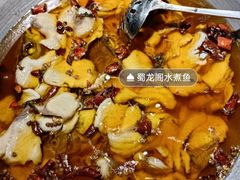 -雲蜀龙阁·金牌水煮鱼(方庄店)