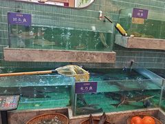 -鱼你相聚·河鲜馆(袁家岭店)
