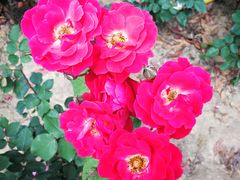 -白塘生态植物园