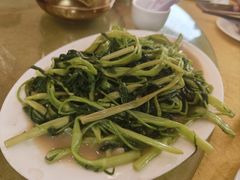 -鸿达渔港