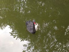 android_upload_pic-石家庄市动物园