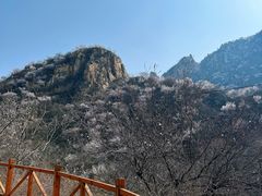-大岭沟猕猴桃谷风景区