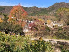 -塔川景区