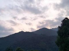 -鼎香皇高佬苏裹蒸粽