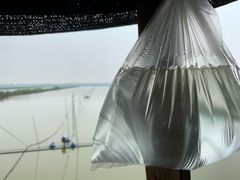 -大湾区中央湿地公园-十九涌