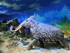 -中国第四纪冰川遗迹陈列馆