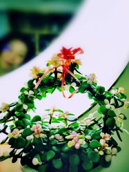 -逸丝风尚