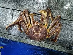 -东江海鲜酒家(艺都分店)