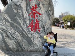 -茯茶镇