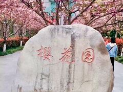 -高东镇樱花园