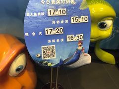 -锦艺城海洋馆