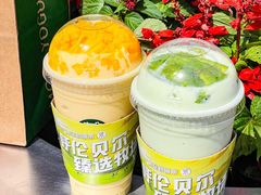 -茉酸奶(春熙路店)