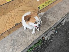 -张家湾·膳蹄(迎宾店)