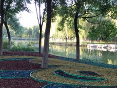 -大兴滨河森林公园