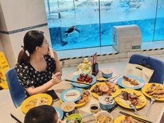 -帝企鹅自助餐厅•儿童岛•真企鹅(长隆企鹅酒店)