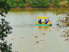 -艾溪湖湿地公园