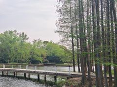 -长广溪湿地公园