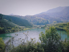 -龙坞茶村
