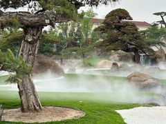 -罗红摄影艺术馆