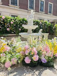 -米莱摄影写真(五大道别墅店)