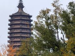 -西海子公园