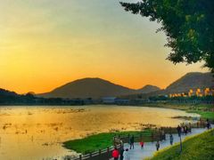 -风云岭森林公园