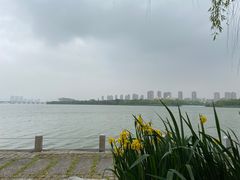 -无锡蠡湖国家湿地公园-蠡园
