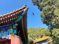 -妙峰山风景名胜区