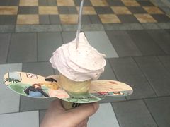 -野人先生现做冰淇淋(西安赛格店)