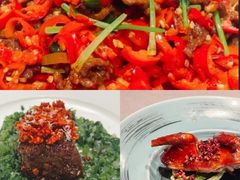 -南堂馆·新川菜(春熙路店)