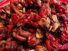 -柴窝堡22号辣子鸡·传承新疆菜